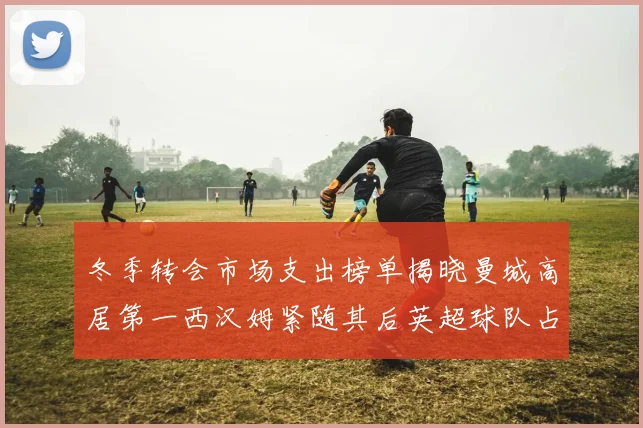 冬季转会市场支出榜单揭晓曼城高居第一西汉姆紧随其后英超球队占据五席