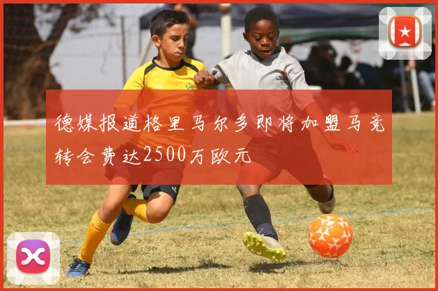 德媒报道格里马尔多即将加盟马竞转会费达2500万欧元